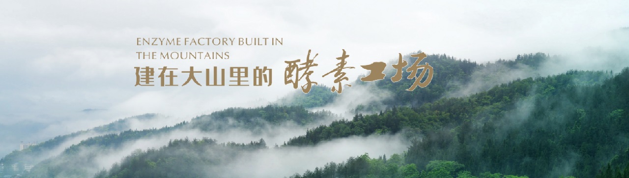 162e0a85e5c7c3a38a605d3f772e987