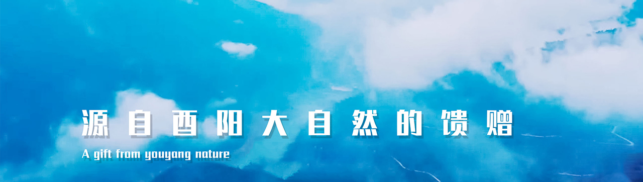 162e0a85e5c7c3a38a605d3f772e987 拷贝